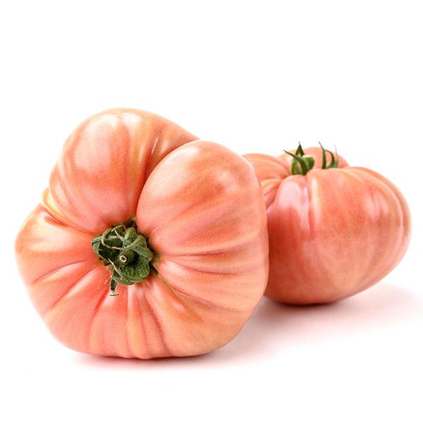 Tomate Rosa